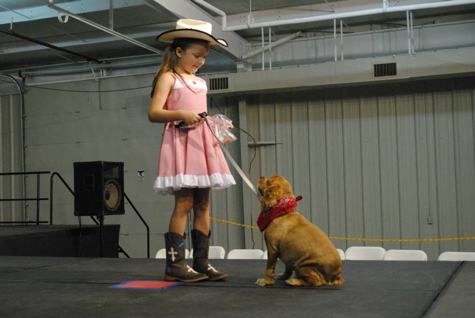 11828697_890505137696720_6336230948052129075_n